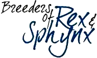 Rex & Sphynx